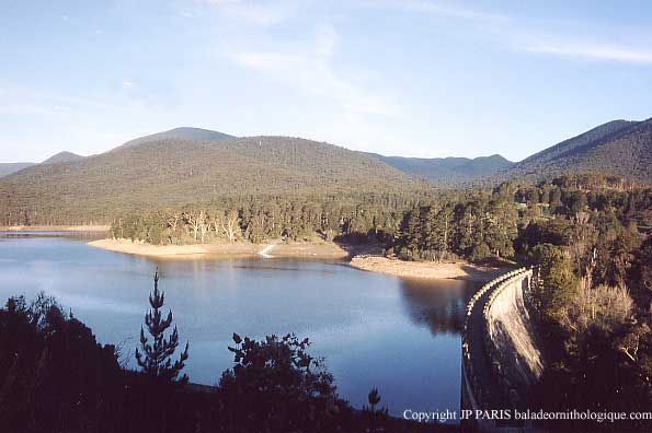 Parc National des Yarra Ranges