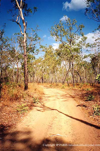 Parc National de Kakadu