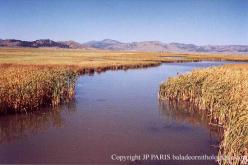 Sierra Valley