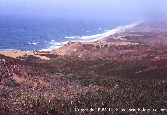 Point Reyes National Seashore