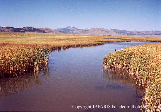 Sierra Valley