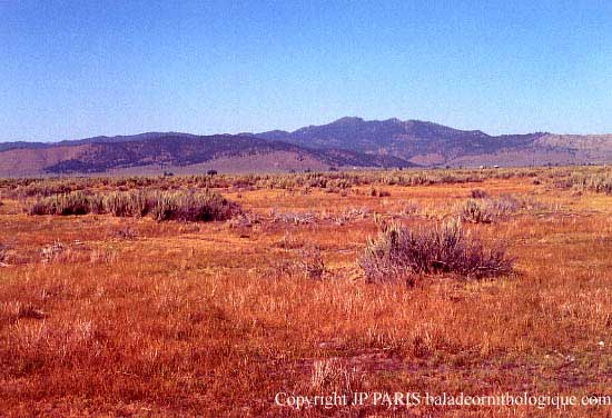 Sierra Valley