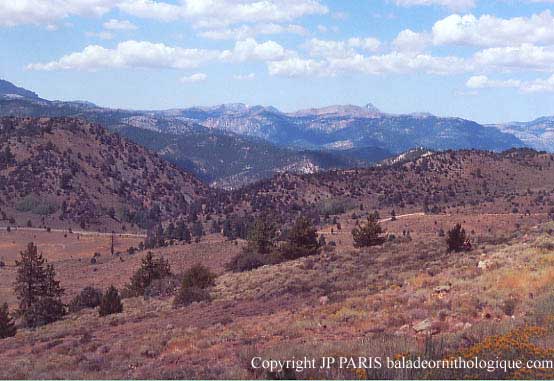 Montagne Rocheuses, Californie