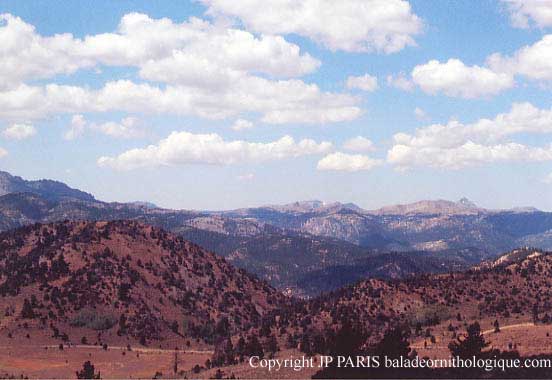 Montagne Rocheuses, Californie