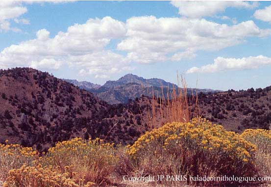 Montagne Rocheuses, Californie