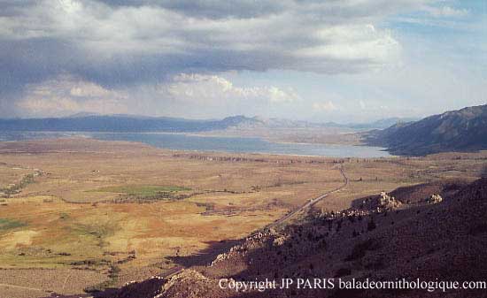 Mono lake