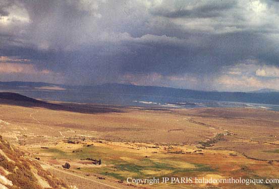 Mono lake