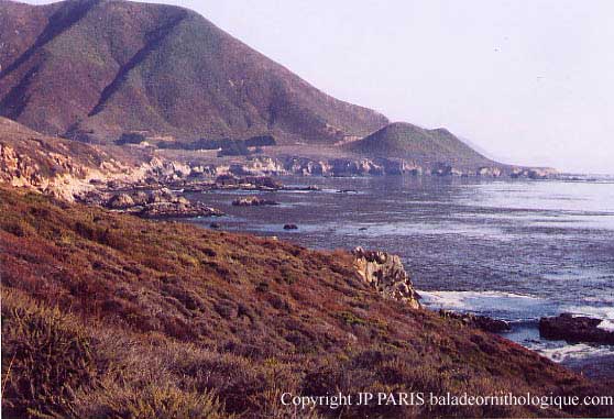 sud de Monterey