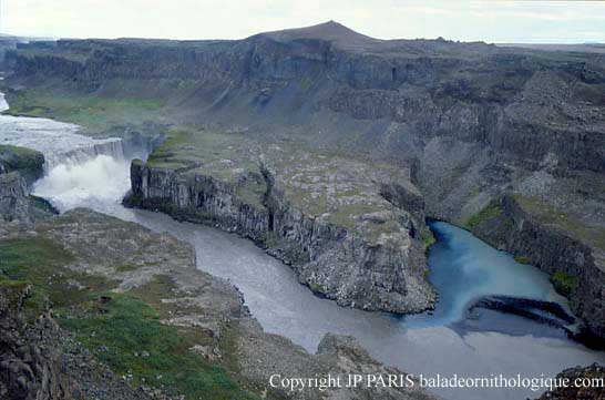 Dettifoss