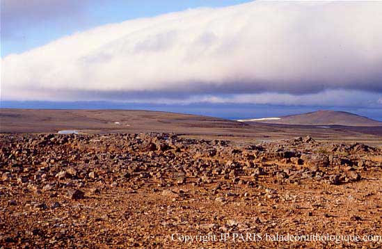 Hveravellir