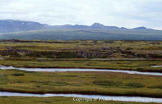 Thingvellir