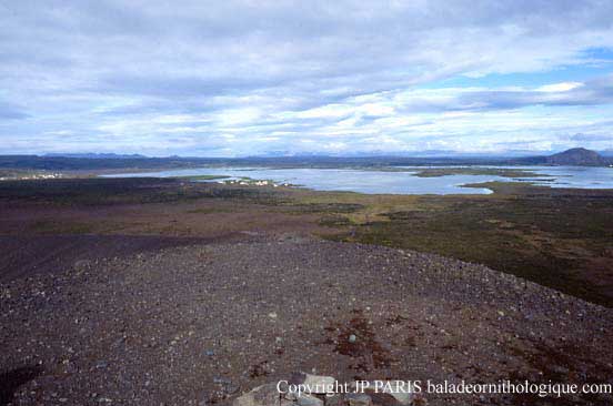 Myvatn