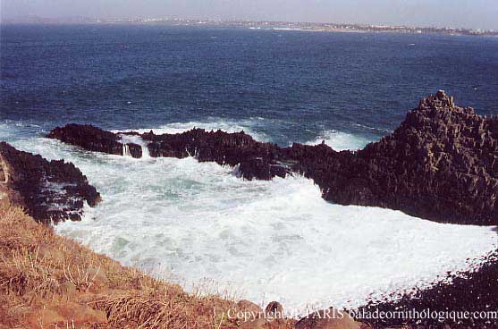 Sénégal, Ile de la Madeleine