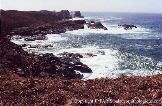 Sénégal, Ile de la Madeleine
