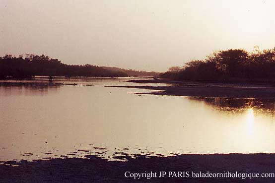 Sine Saloum