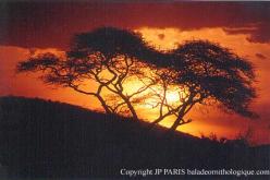 Parc National de Tarangire