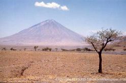 El Donyo Langaï