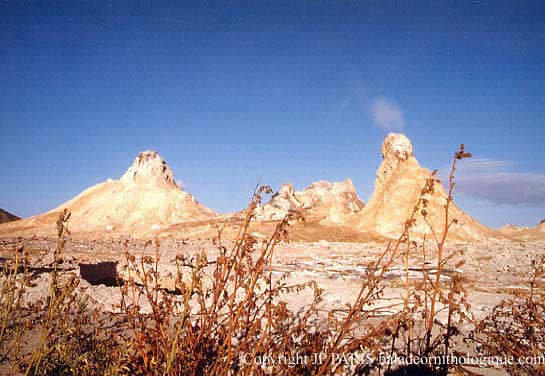 El Donyo Langaï