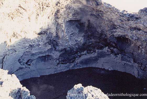 El Donyo Langaï