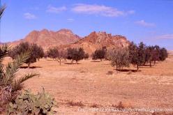 Jebel Zaghouan