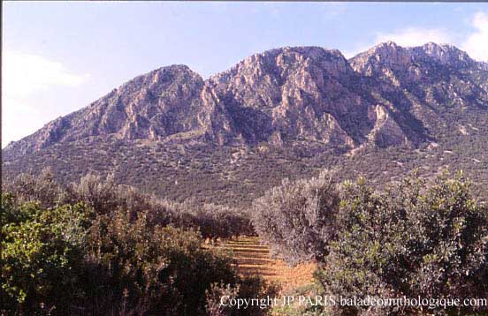 Jebel Ressas