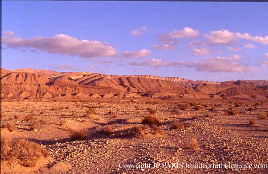 Jebel en Negueb