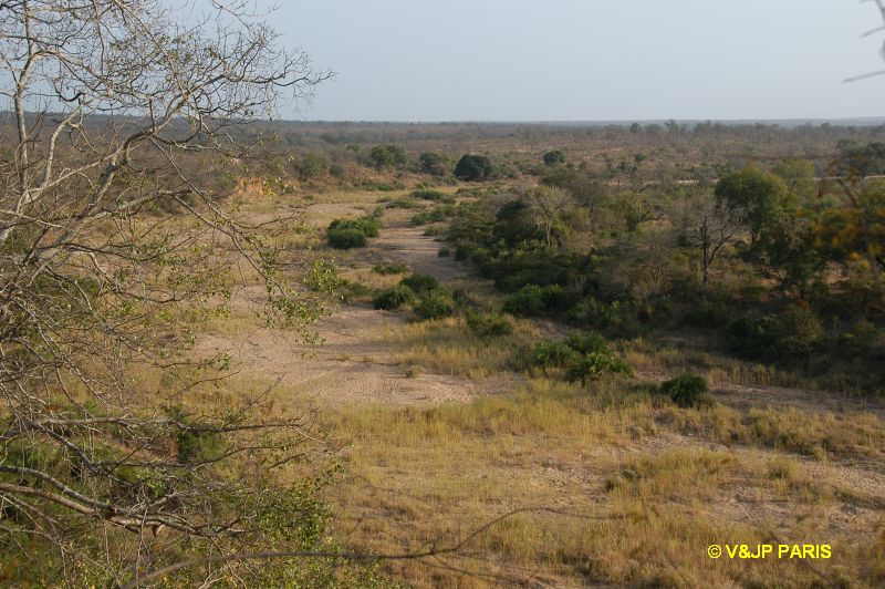 Kruger : Camp de Byamiti et les alantours