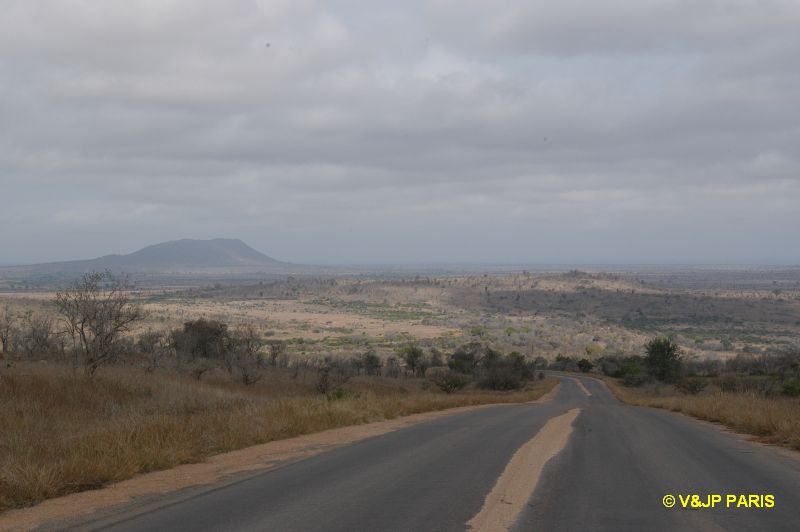 Kruger : Route de Crocodile Bridge à Satara