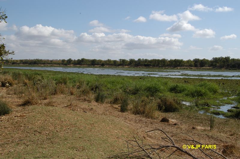 Kruger : Engelhard Dam