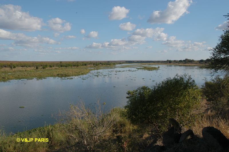 Kruger : Engelhard Dam