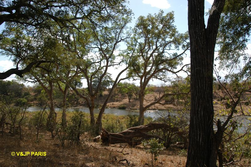 Kruger : Kanniedood Dam