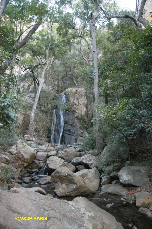 Parc National Lekgalameetse