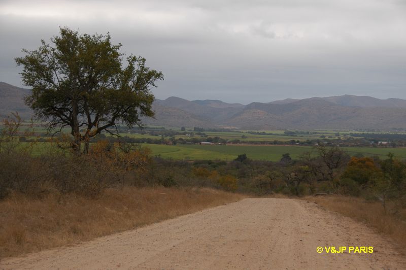Kruger : Camp de Malelane