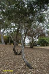 Kruger : Camp de Byamiti et les alantours