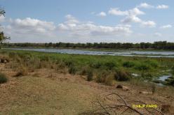 Kruger : Engelhard Dam