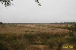 Kruger : Letaba Rest Camp