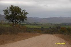 Kruger : Camp de Malelane