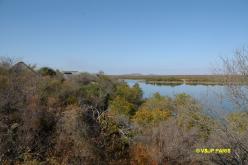 Kruger : Mopani Rest Camp