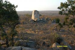 Kruger : Camp du Napi Trails et randonées aux alantours