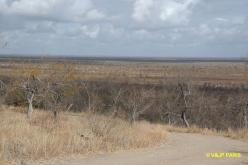 Kruger : Point de vue de Shibyatsangela
