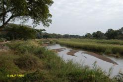 Kruger : Camp de Skukuza
