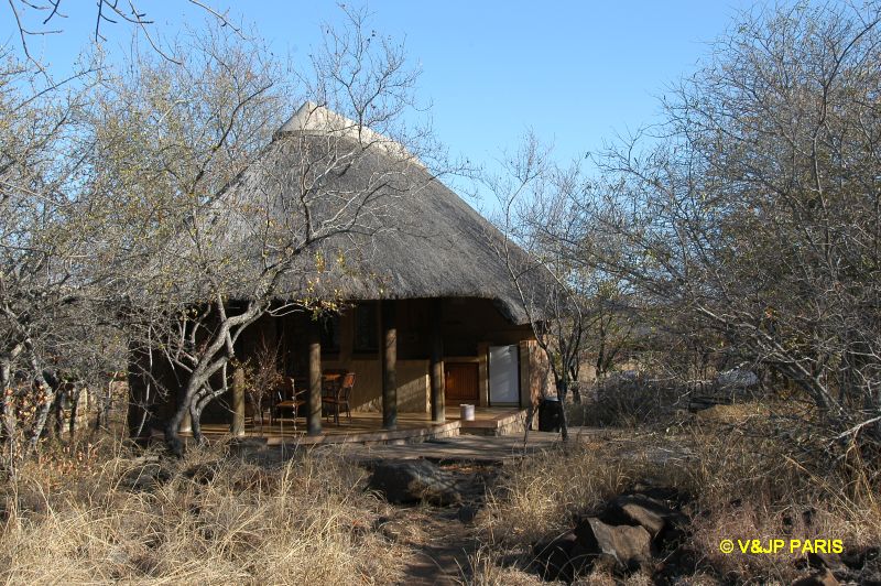 Kruger: Mopani Rest Camp