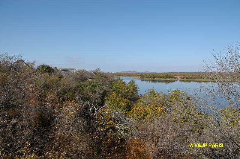 Kruger: Mopani Rest Camp