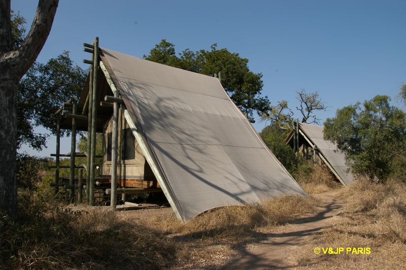 Kruger : Camp du Napi Trails et randonées aux alantours