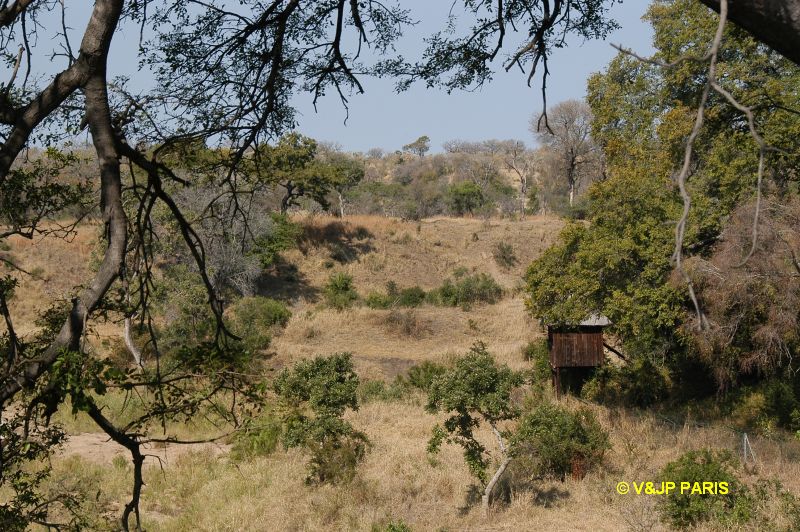 Kruger : Camp du Napi Trails et randonées aux alantours