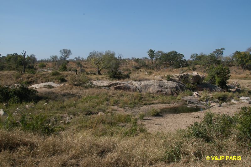 Kruger : Camp du Napi Trails et randonées aux alantours