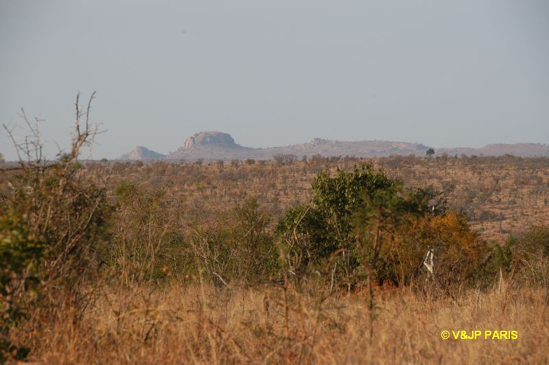 Kruger : Camp du Napi Trails et randonées aux alantours