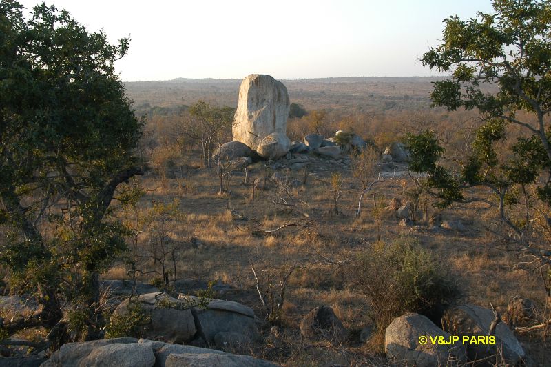 Kruger : Camp du Napi Trails et randonées aux alantours