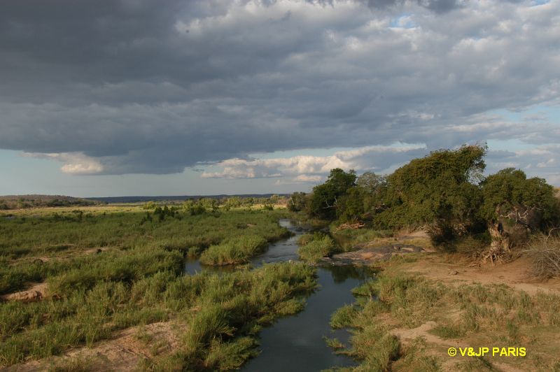 Kruger : Olifants River