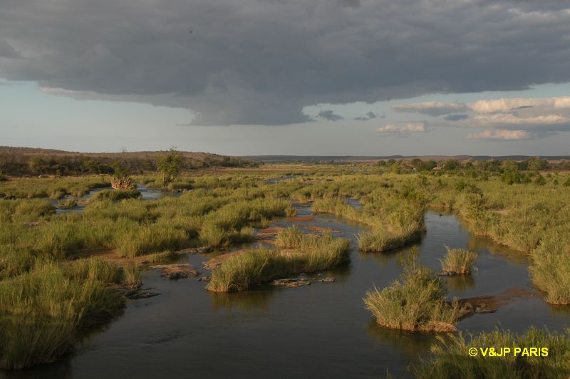 Kruger : Olifants River